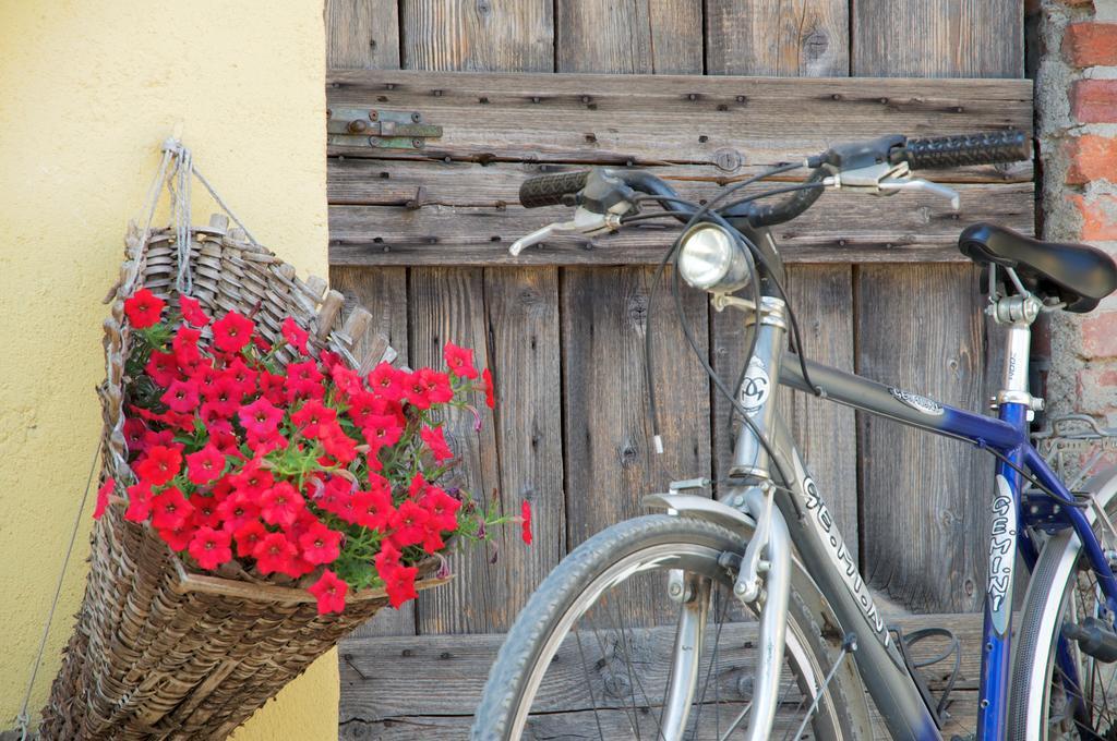 Cascina Delle Mele Bed & Breakfast Vittuone Dış mekan fotoğraf