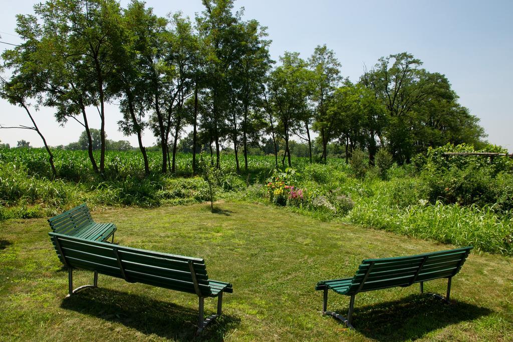 Cascina Delle Mele Bed & Breakfast Vittuone Dış mekan fotoğraf