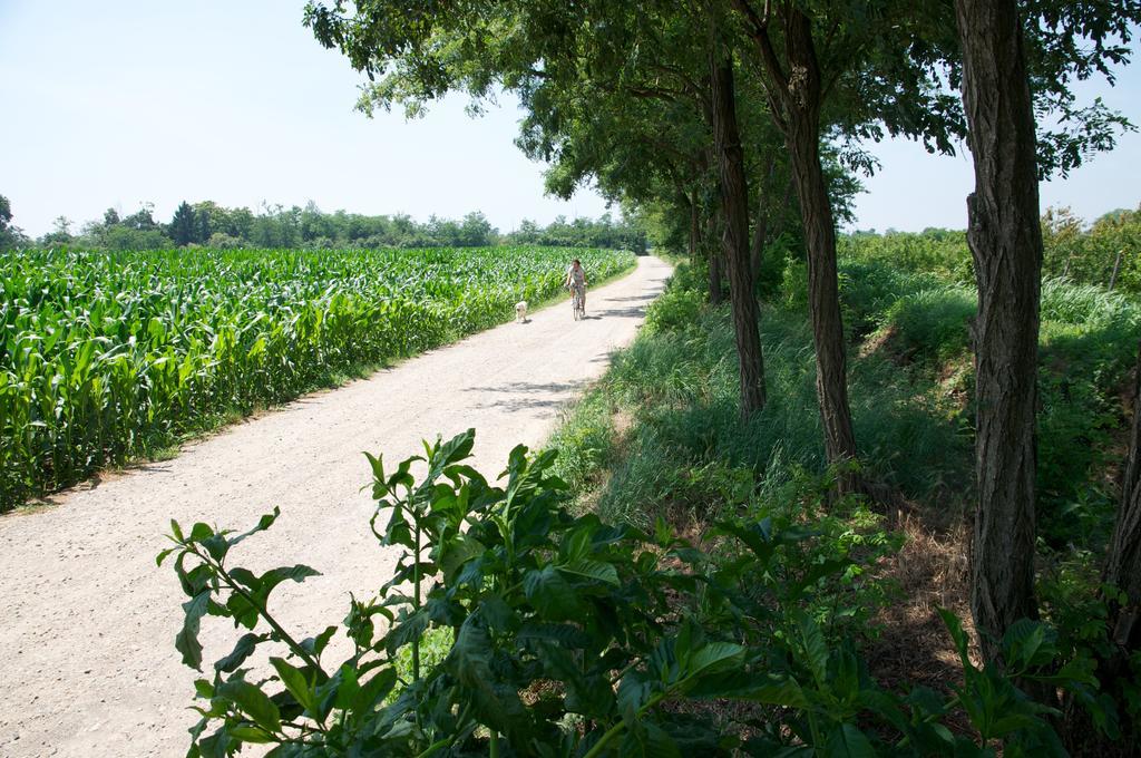 Cascina Delle Mele Bed & Breakfast Vittuone Dış mekan fotoğraf